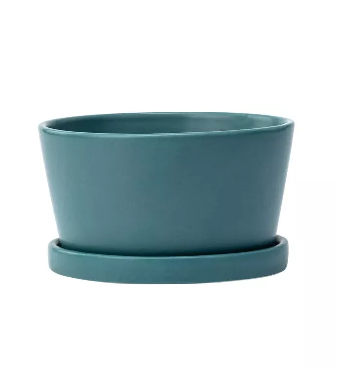 Teal Dish Garden With Saucer | Small | Napco