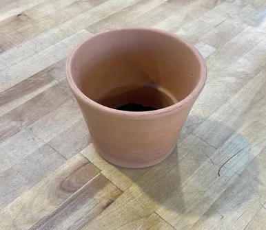 Terra Cotta - Half Cono 5.5in