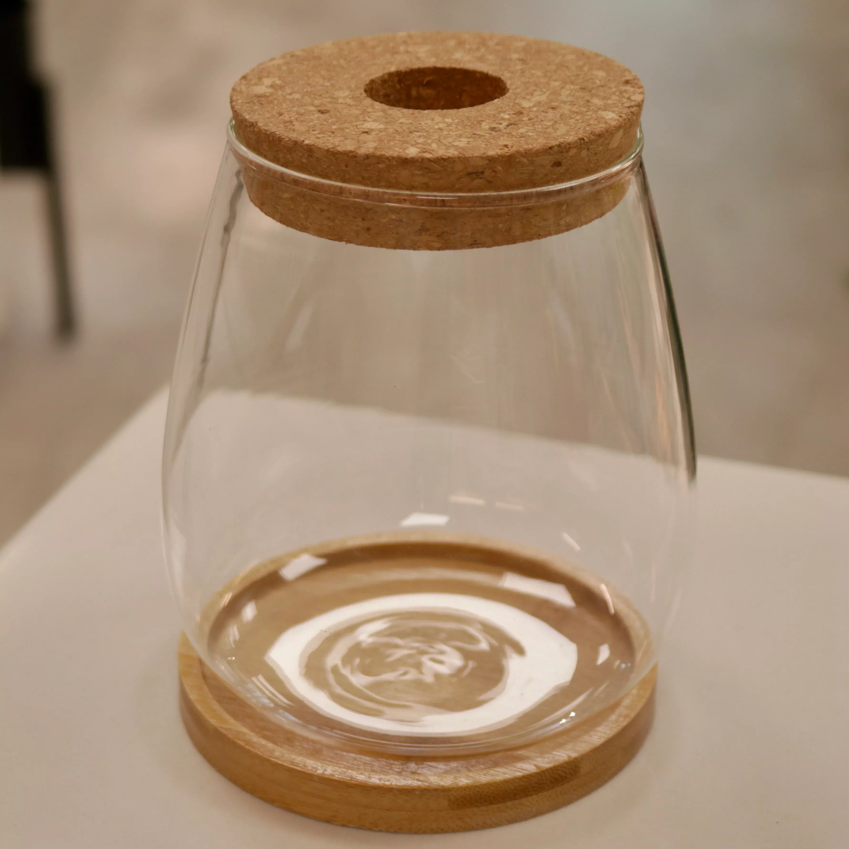 Terrariums - Desktop Plant Jars