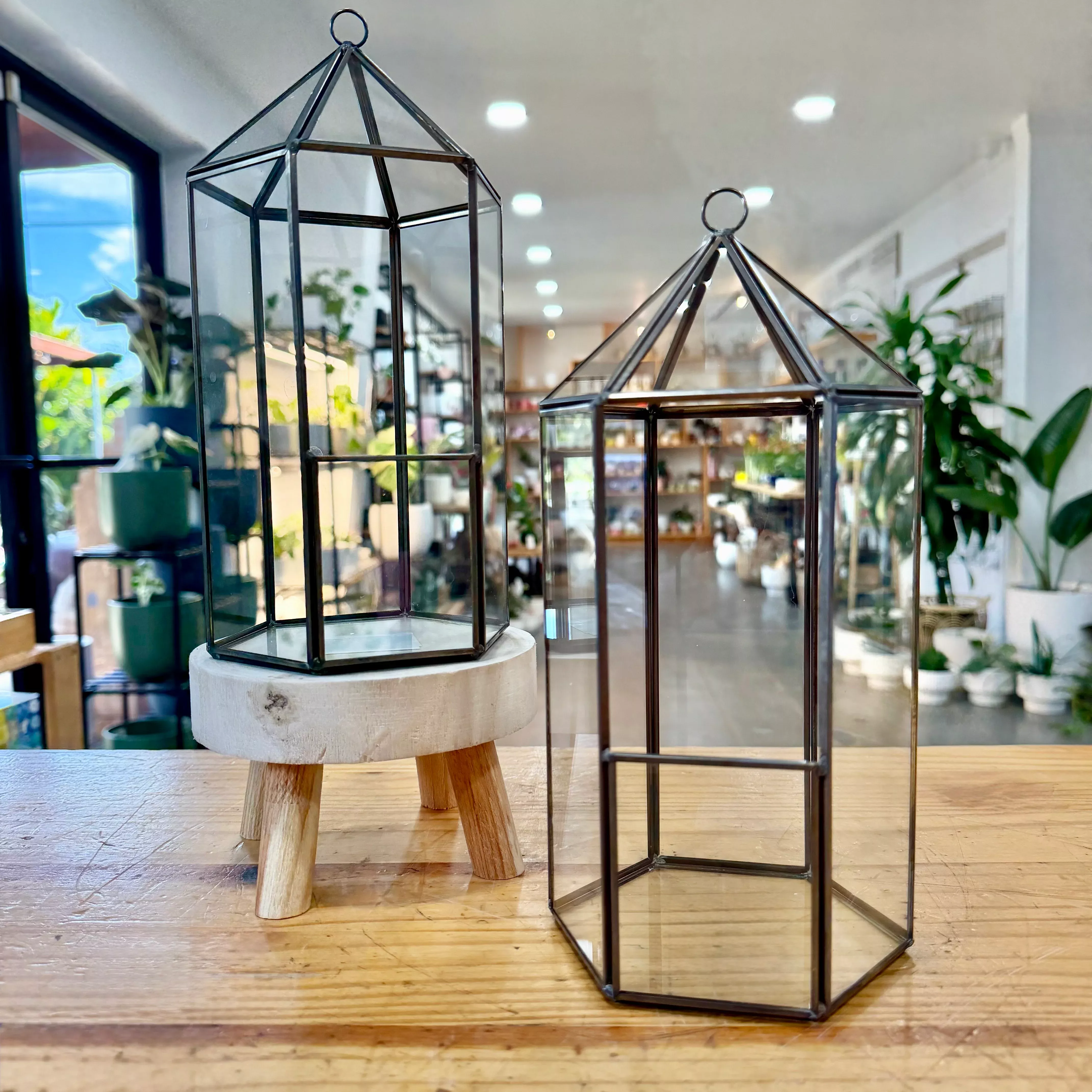 Terrariums