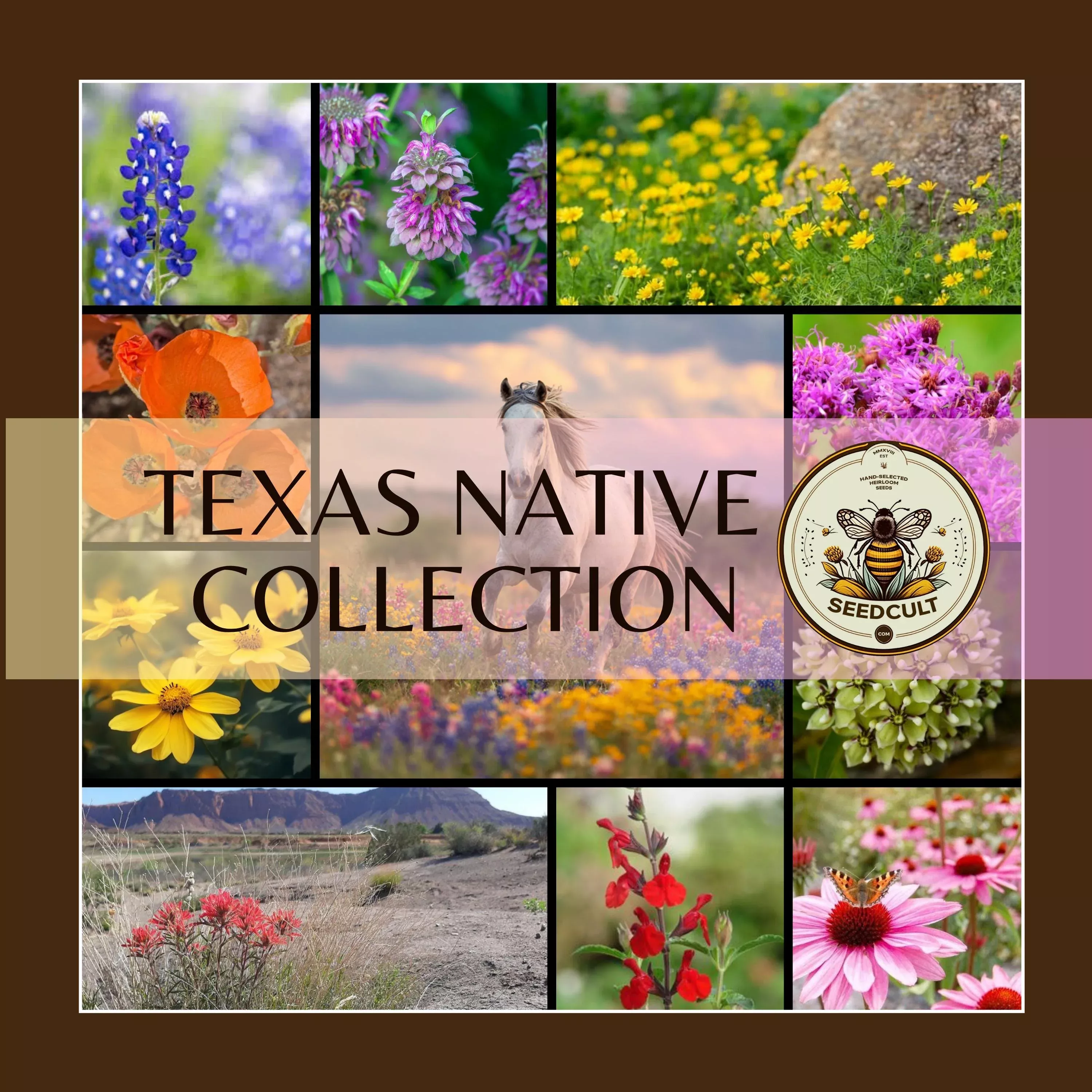 TEXAS NATIVE SEEDS ZONE 9-10