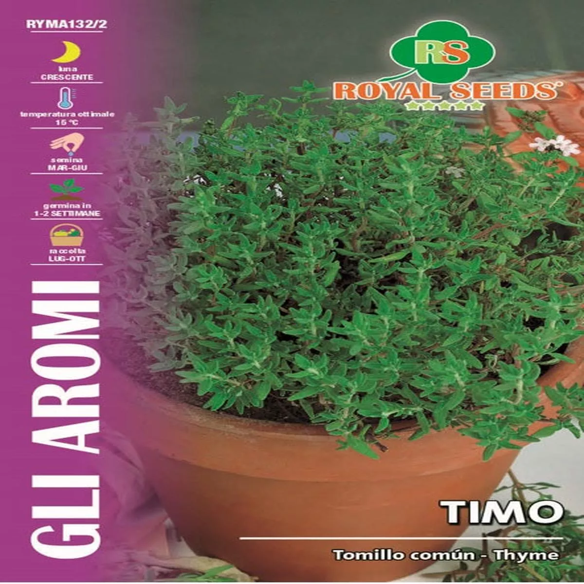 Thyme – Royal Seed RMYA132/2
