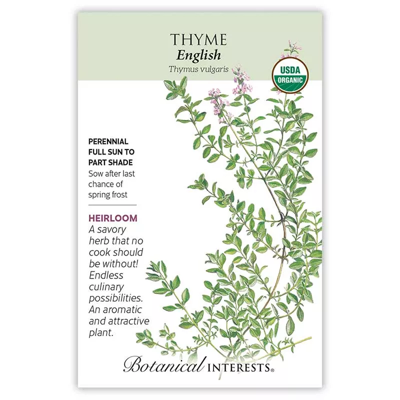 Thyme seeds 'English'