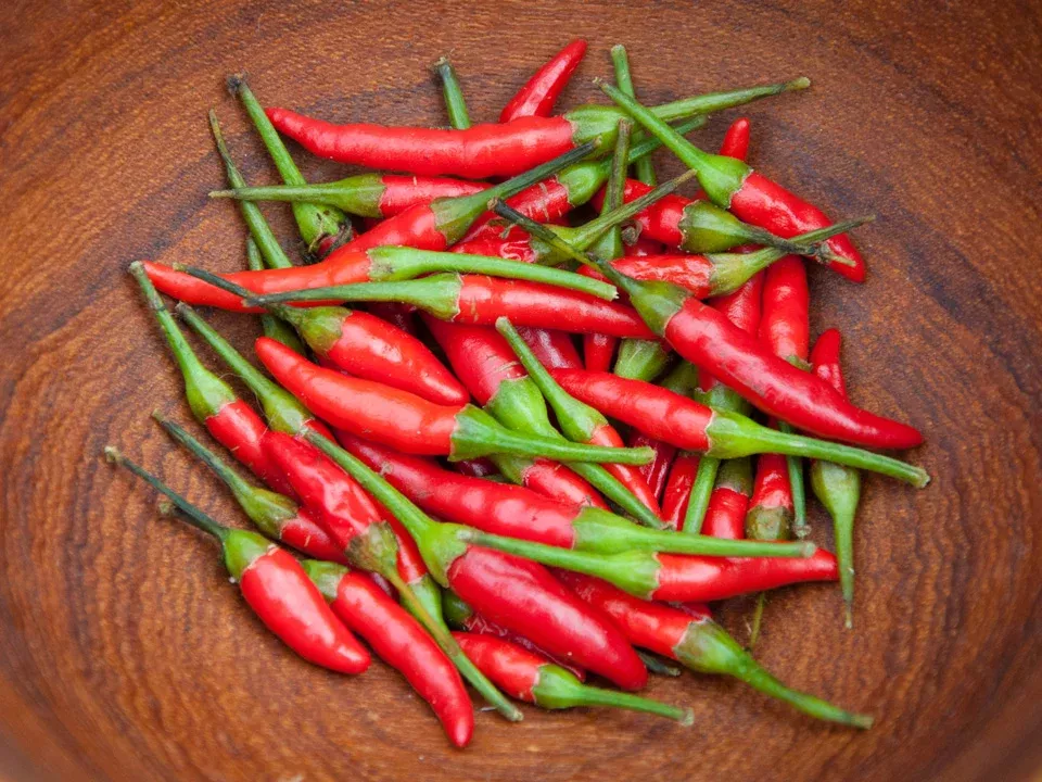 Tiny Chinese Organic Hot Pepper Seeds
