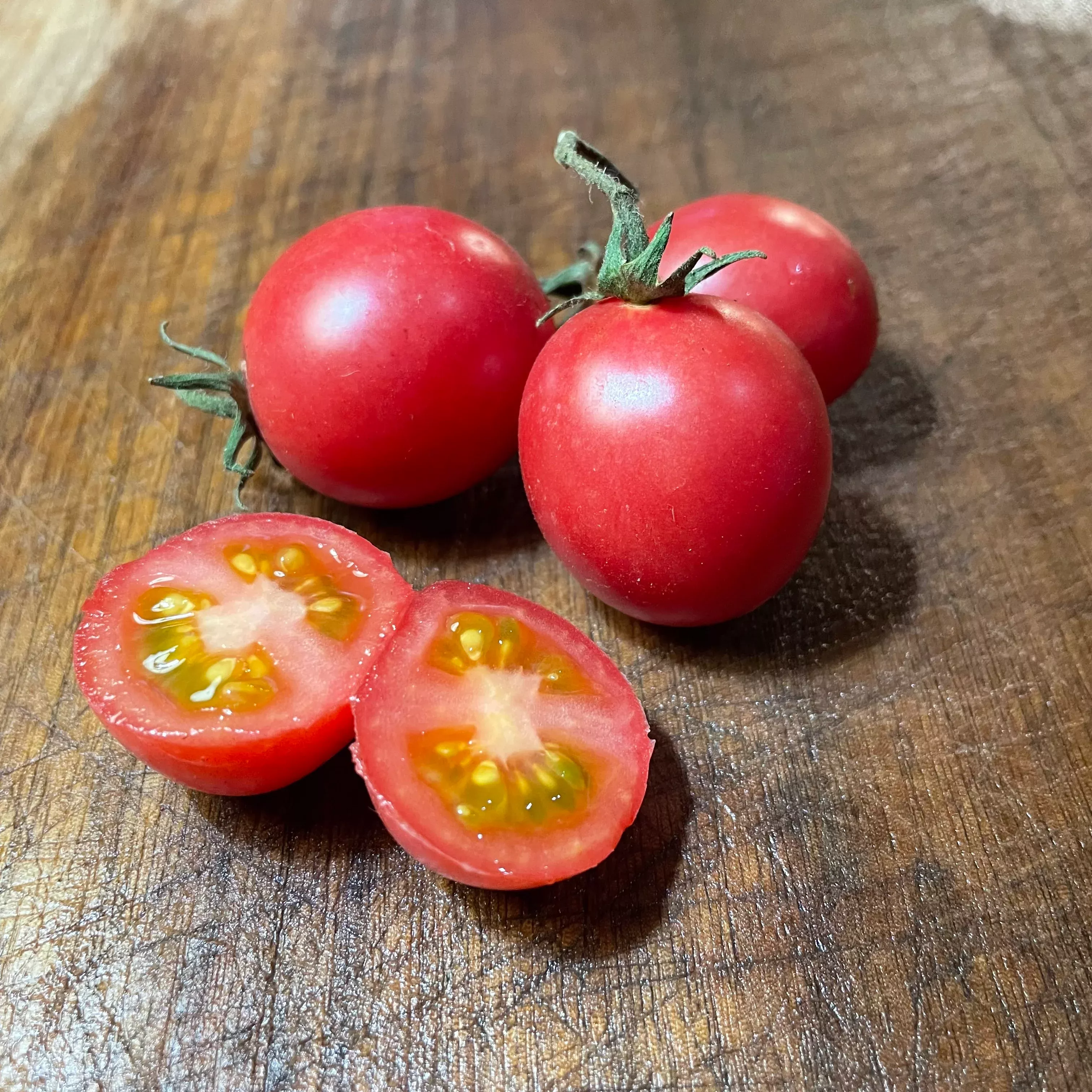 Tiny Tim Tomato Seeds