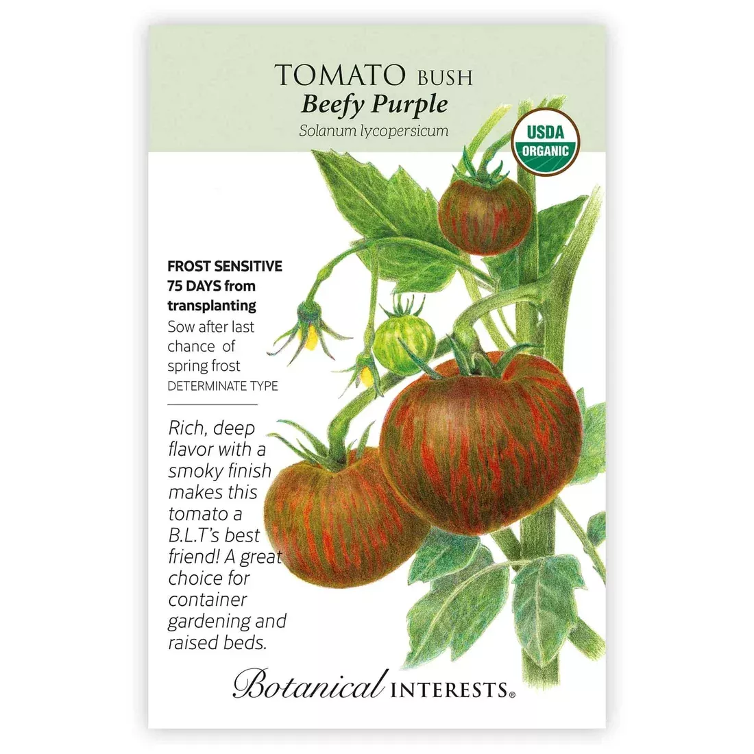 Tomato 'Bush Beefy Purple'