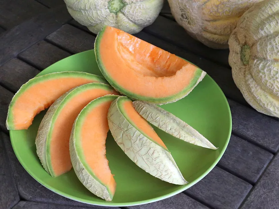 Trifecta Organic Melon Seeds
