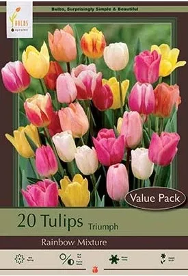 Tulip, Rainbow Mixture