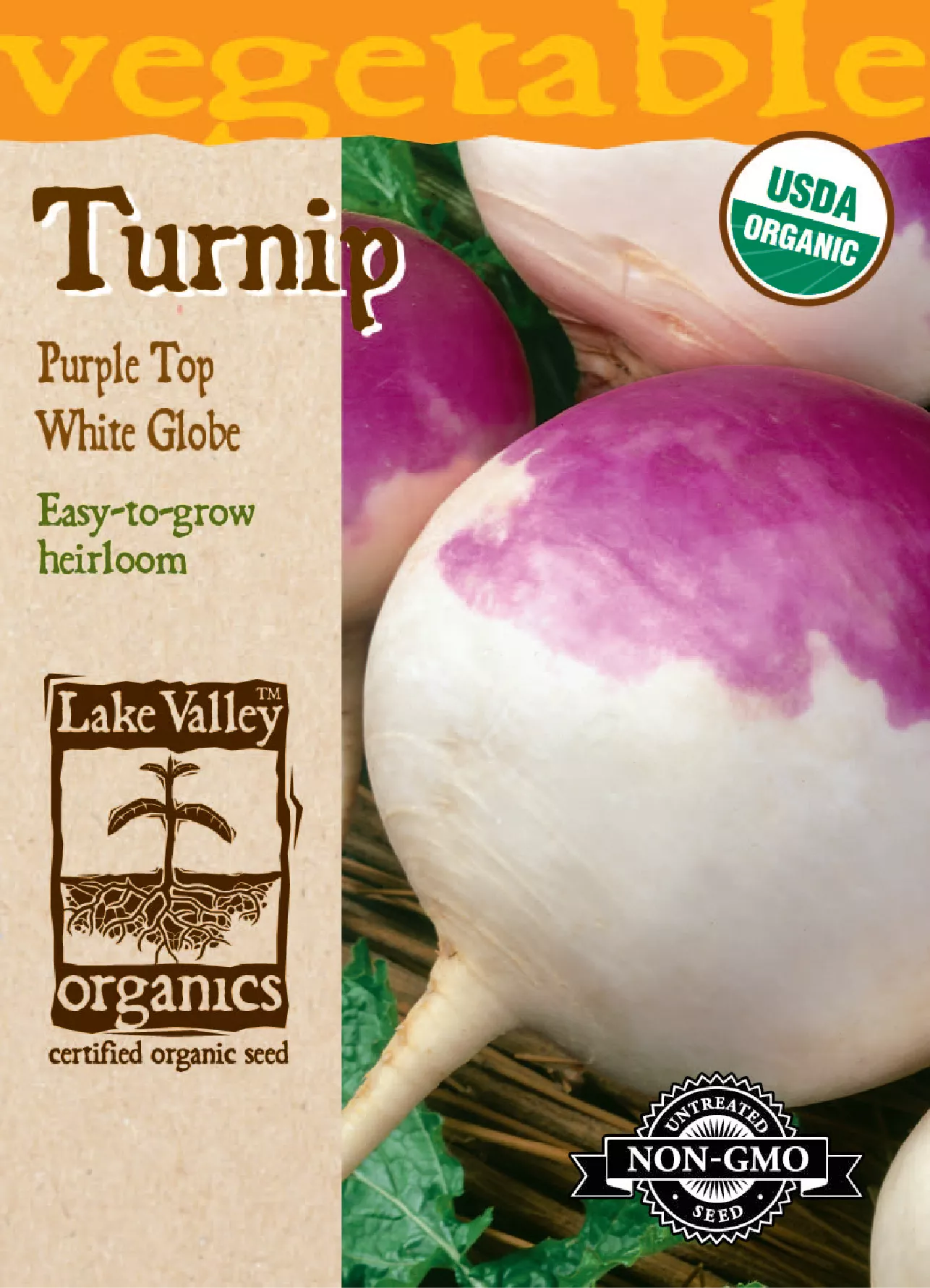Turnip Purple Top White Globe – Item #4068
