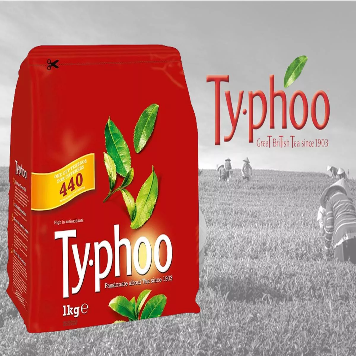 Typhoo 440 One Cup Tea Bags – 1