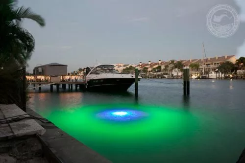 Underwater LED Lights
