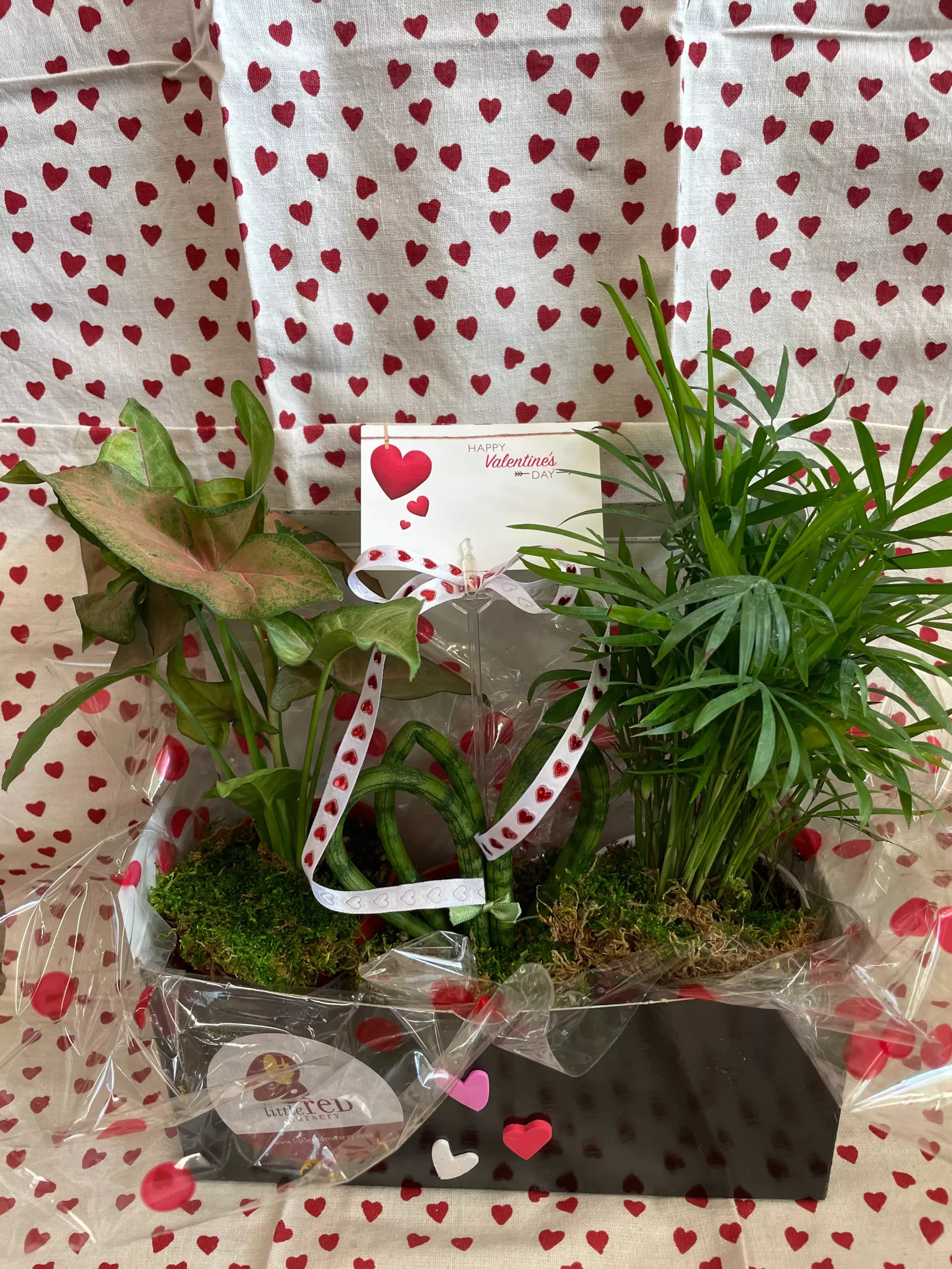 Valentine's Box Tropical Combo