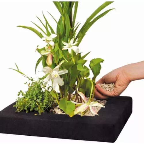 Velda Square Floating Plant Islands