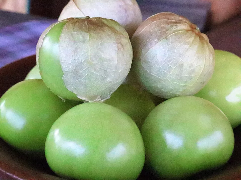 Verde - Organic Tomatillo Seeds