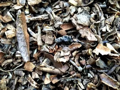 Voacanga Africana Rootbark Chunks