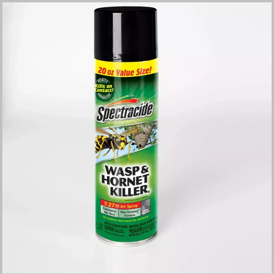 Wasp & Hornet Killer Spectracide 20 oz.