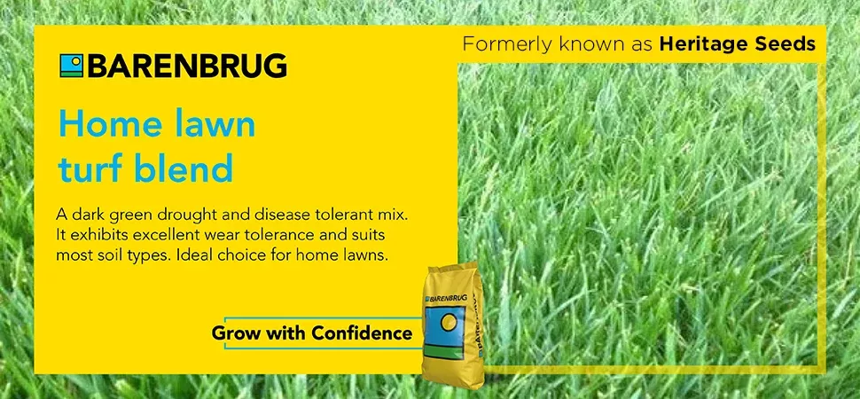 Watersaver Turf Blend