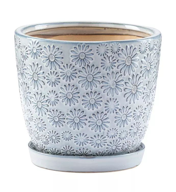 White & Blue Embossed Daisy Planter With Saucer | Large | Napco