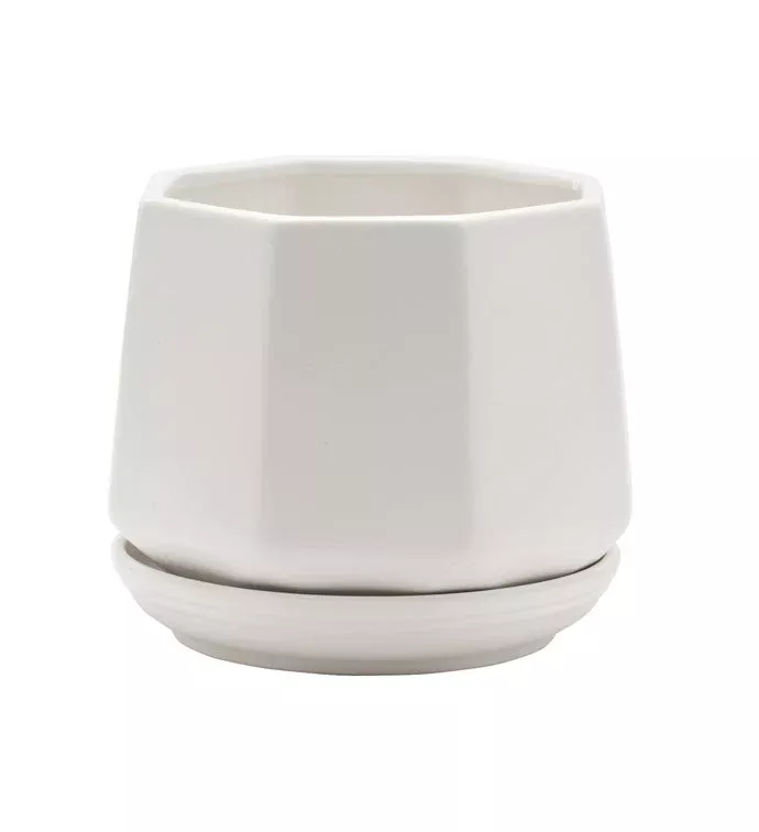White Hexagonal Planter With Saucer | Large | Napco