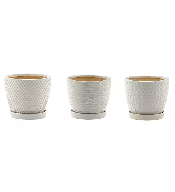 White Laser Pot With Saucer (Assorted) | 6" | Napco