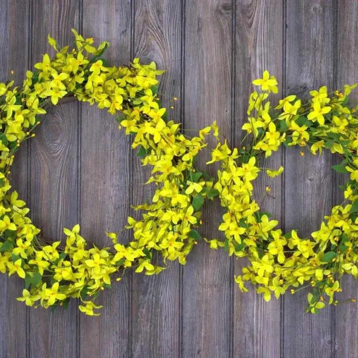 Wholesome Home Decor - Blooming Forsythia Wreath Small - BG4174