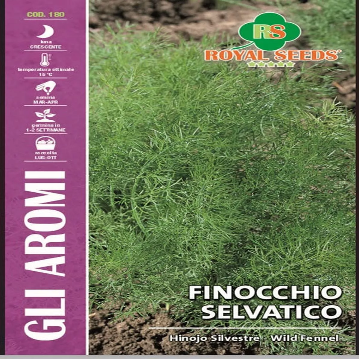 Wild Fennel – Hinnojo Silvestre – Royal Seed RYMA62/18 – COD.180