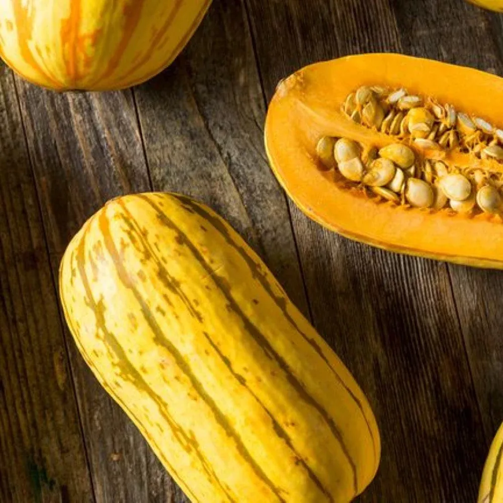 Winter Squash