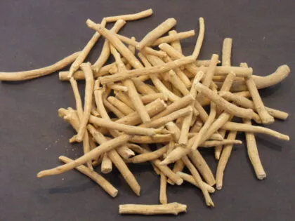 Withania Somnifera (Ashwaghanda) Organic Root, Shredded
