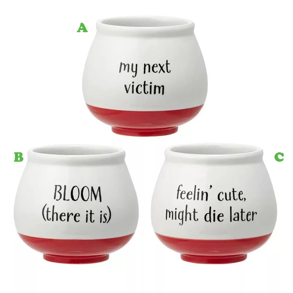 Witty Round Planter Red & White, Assorted and Sold Separately | Napco