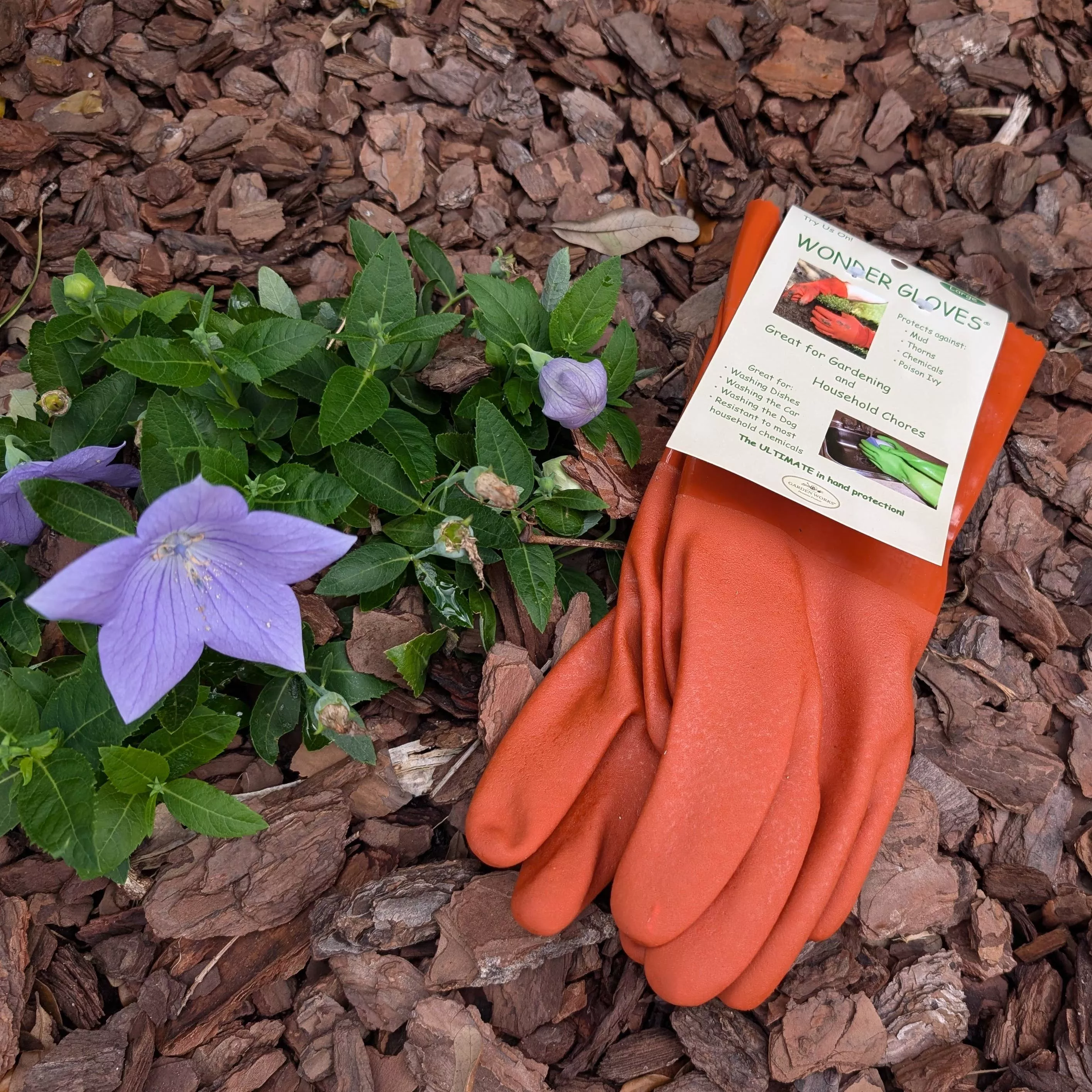 Wonder Gloves