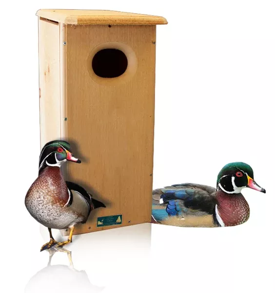 Wood Duck Houses (Display)