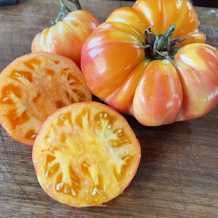 World in My Eyes Tomato Seeds