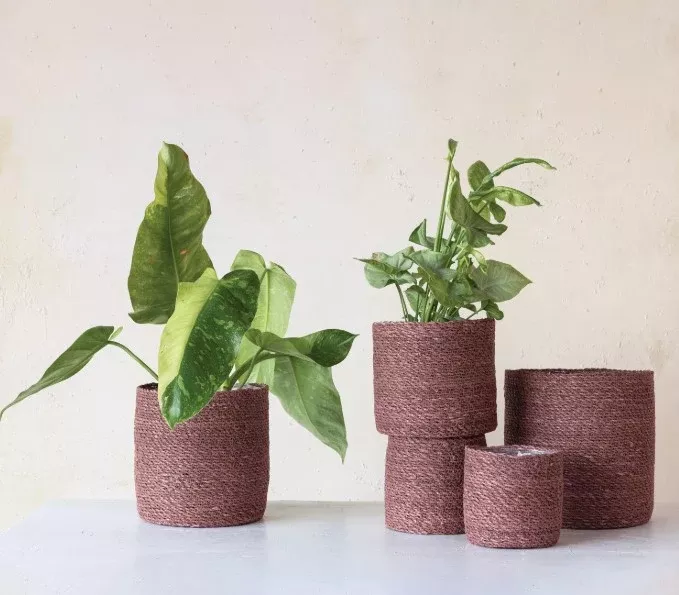 Woven Seagrass Cylinder Baskets
