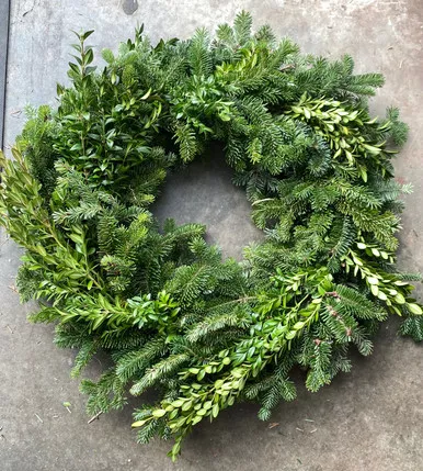 WREATH FRASER/BOXWOOD 20IN