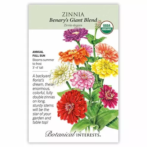 Zinnia 'Benary's Giant Blend'
